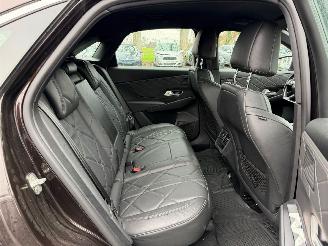 DS Automobiles DS 7 Crossback CROSSBACK SO CHI picture 24