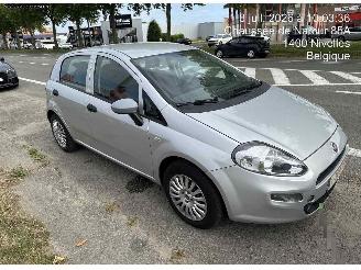 Fiat Punto  picture 1