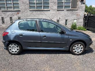 Peugeot 206 1.4 I picture 1