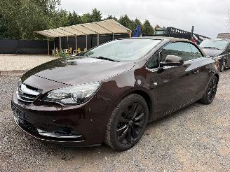 Opel Cascada COSMO picture 10