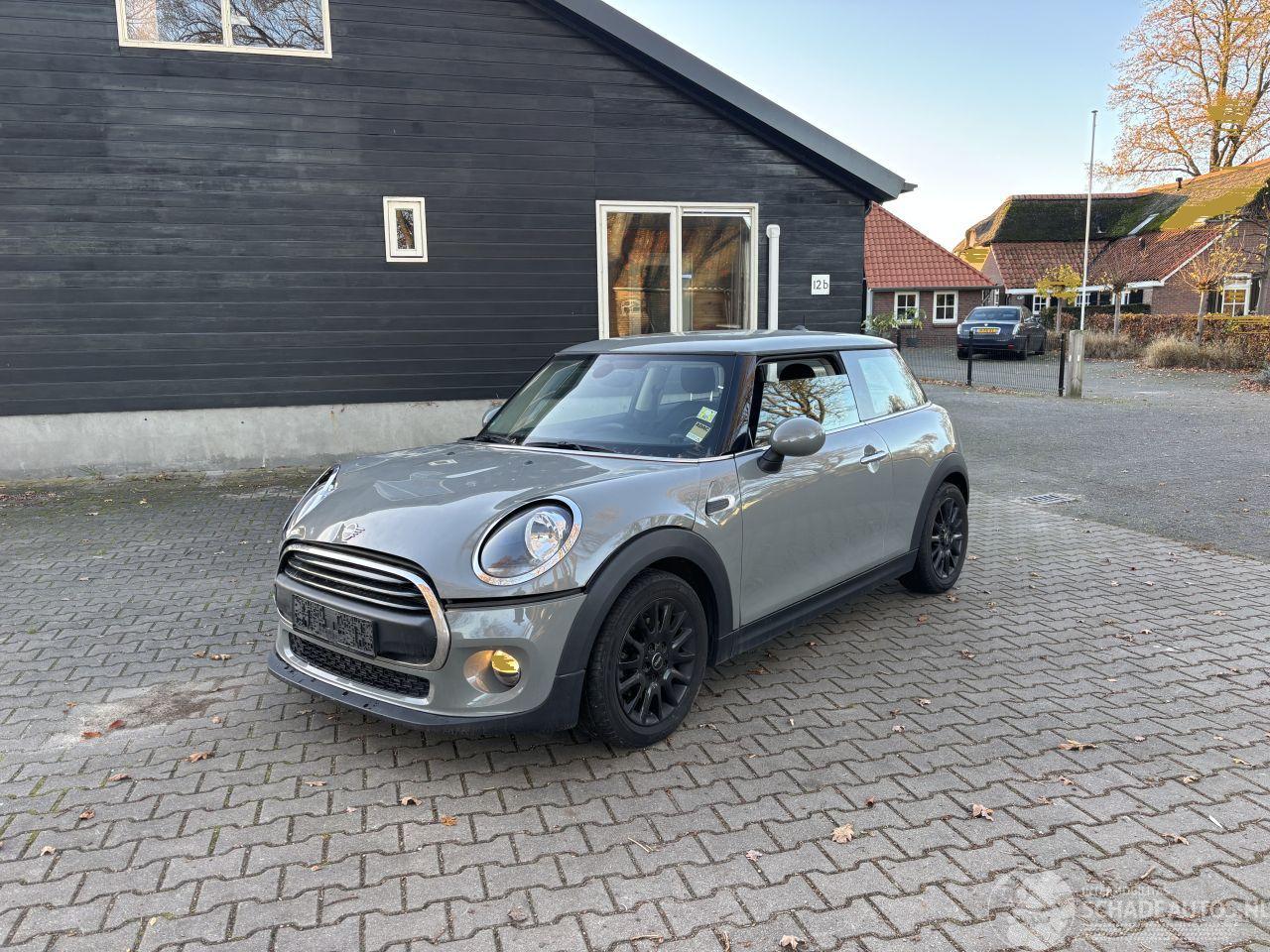 Mini One 1.5 EDITION CLIMA ABS PDC B.J 11-2018 schroefschade