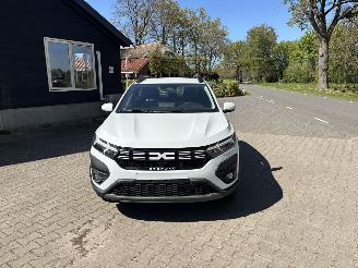 Dacia Sandero STEPWAY TCE AIRCO CAMERA LED PDC B.J 2025 picture 5