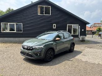 Voiture accidenté Dacia 1310 110 PK EXTREEM NAVI CLIMA CAMERA LED B.J 2024 FACELIFT 2024/2