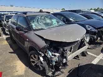 Citroën C4 cactus  picture 3