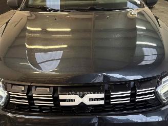 Dacia Duster ESSENTIAL picture 14