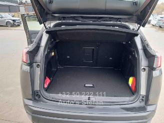 Peugeot 3008 ACTIVE picture 21