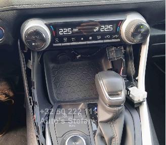 Toyota Rav-4  picture 8