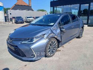 Toyota Corolla  picture 3