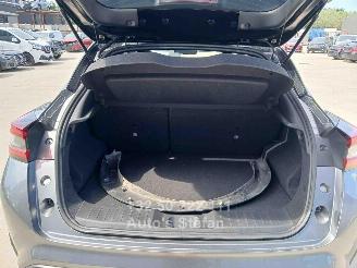Nissan Juke BUSINESS ACCESS picture 18