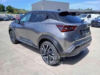 Nissan Juke BUSINESS ACCESS picture 6