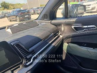 Kia Sportage  picture 21