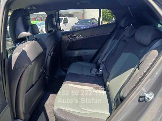 Kia Sportage  picture 11