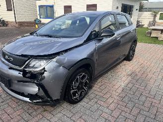 BYD Dolphin BEV 65kWh Design picture 13