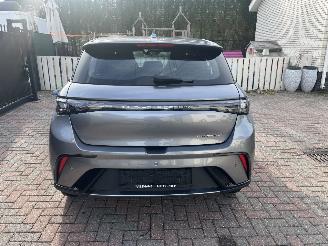 BYD Dolphin BEV 65kWh Design picture 1