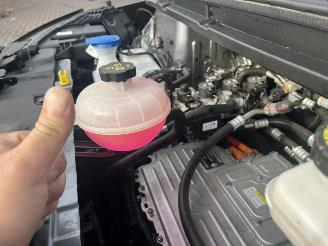 BYD Dolphin BEV 65kWh Design picture 15