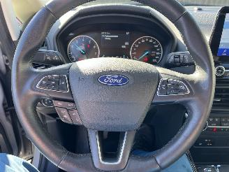 Ford EcoSport ACTIVE -LEDER-NAVI-KLIMATRONIK picture 22