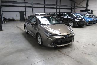 Toyota Corolla SEDAN picture 6