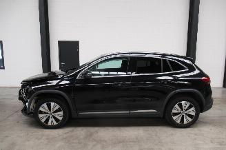 Mercedes EQA 250 picture 2