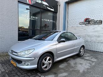 Peugeot 206 PEUGEOT 206cc 2004 1.6I picture 2