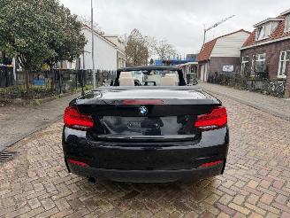 BMW 2-serie 218i M PAKKET CABRIO picture 27
