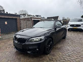 Voiture accidenté BMW 2-serie 218i M PAKKET CABRIO 2018/1