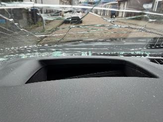 Mazda 3 2.0 e-SkyActiv-X M Hybrid 186 Luxury picture 25