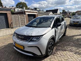 krockskadad bil auto BYD Dolphin Comfort 60.4 kWh NAP 2024/1