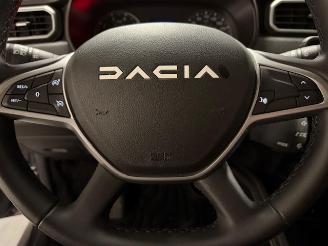 Dacia Duster 4X CAMERA picture 22