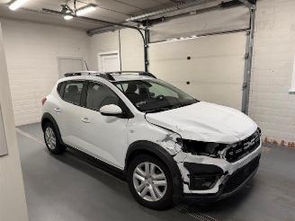 Unfallwagen Dacia Sandero PANORAMA 2023/11