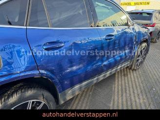 Mercedes EQA 250+ AMG SPORT /LINE PANORAMA picture 11