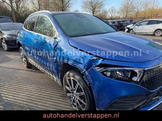 Mercedes EQA 250+ AMG SPORT /LINE PANORAMA picture 13