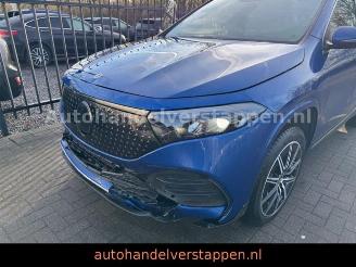 Mercedes EQA 250+ AMG SPORT /LINE PANORAMA picture 6