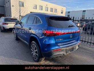 Mercedes EQA 250+ AMG SPORT /LINE PANORAMA picture 3