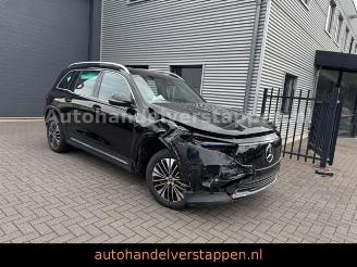 Mercedes EQB 250+ Business Line  71KWH 7Pers Facelift picture 8