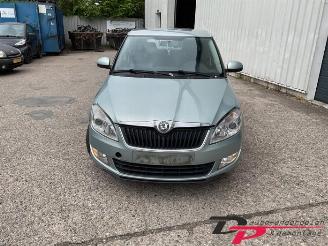 Skoda Fabia Fabia II Combi, Combi 5-drs, 2007 / 2014 1.2 TDI 12V Greenline picture 6