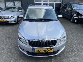 Skoda Fabia 1.2 TDI Greenline picture 6