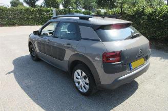 Citroën C4 cactus 1.2 Pure Tech picture 4