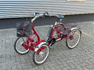 krockskadad bil fiets Overige  Pfau Tec Primo Vierwieler Elektrisch 2020/12