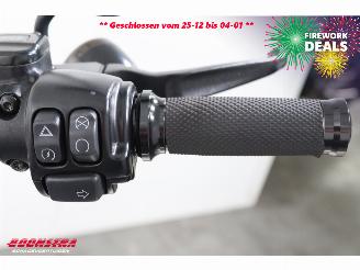 Harley-Davidson Sport Glide 107 FLSB 5HD LED ABS picture 29