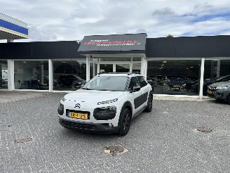 Citroën C4 cactus 1.2 Pure Tech Shine picture 4