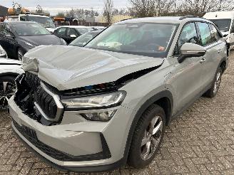 Unfallwagen Skoda Kodiaq 1.5 TSI  PHEV  Business Edition  Automaat 2025/8