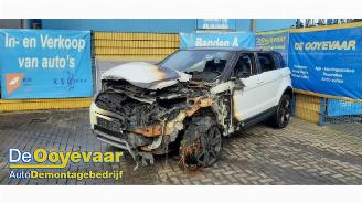 Land Rover Range Rover Evoque  picture 4