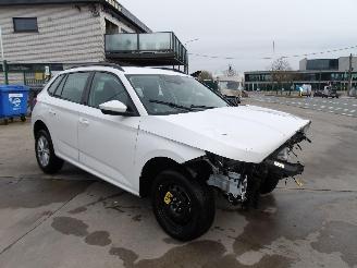 Schadeauto Skoda Kamiq  2024/12