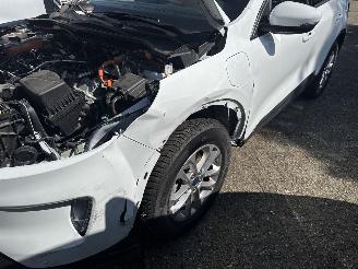 Ford Kuga 2.5 PHEV  Titanium picture 7