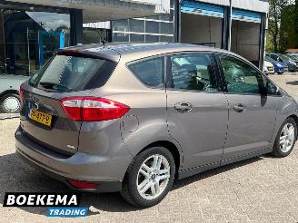 Ford C-Max 1.0 Titanium 125PK Stoelverw. Climate Cruise PDC picture 2