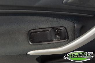 Ford Fiesta 1.6 TDCi Clima ECOnetic Trend picture 11