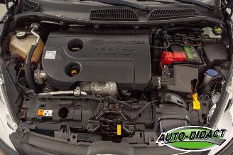 Ford Fiesta 1.6 TDCi Clima ECOnetic Trend picture 26