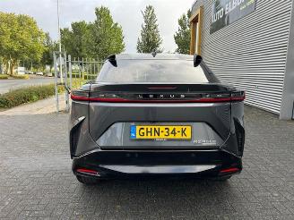 Lexus RZ 450e President Line 71 kWh picture 12