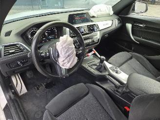 BMW 2-serie 218i COUPE /  M- PERFORMANCE picture 16